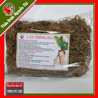 Cây thông đất điều trị bệnh Alzheimer, phục hồi trí nhớ, sa sút trí tuệ  1KG Khô SP CTY Thảo Dược Số 1