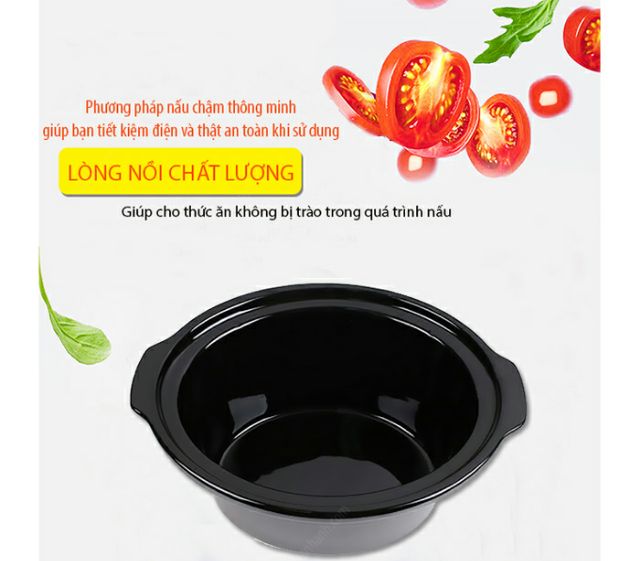 Nồi nấu cháo chậm 2.5 lít Bbcooker BS25