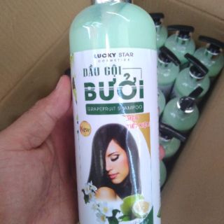 DẦU GỘI BƯỞI LUCKY STAR 500ml