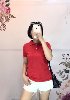 Áo polo trắng đỏ