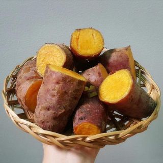 Combo 5kg Khoai lang mật Đà Lạt
