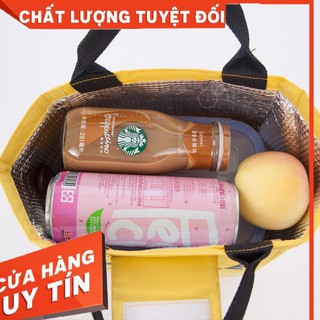 túi giữ nhiệt cá siêu kute