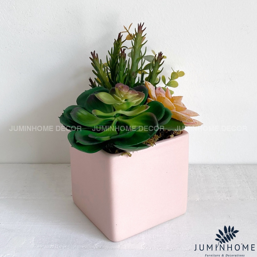 Cây giả Decor - Chậu sen đá vuông Decor trang trí để bàn