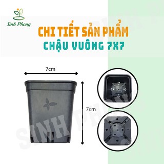 Chậu vuông 7x7 đen (Set 100 cái).