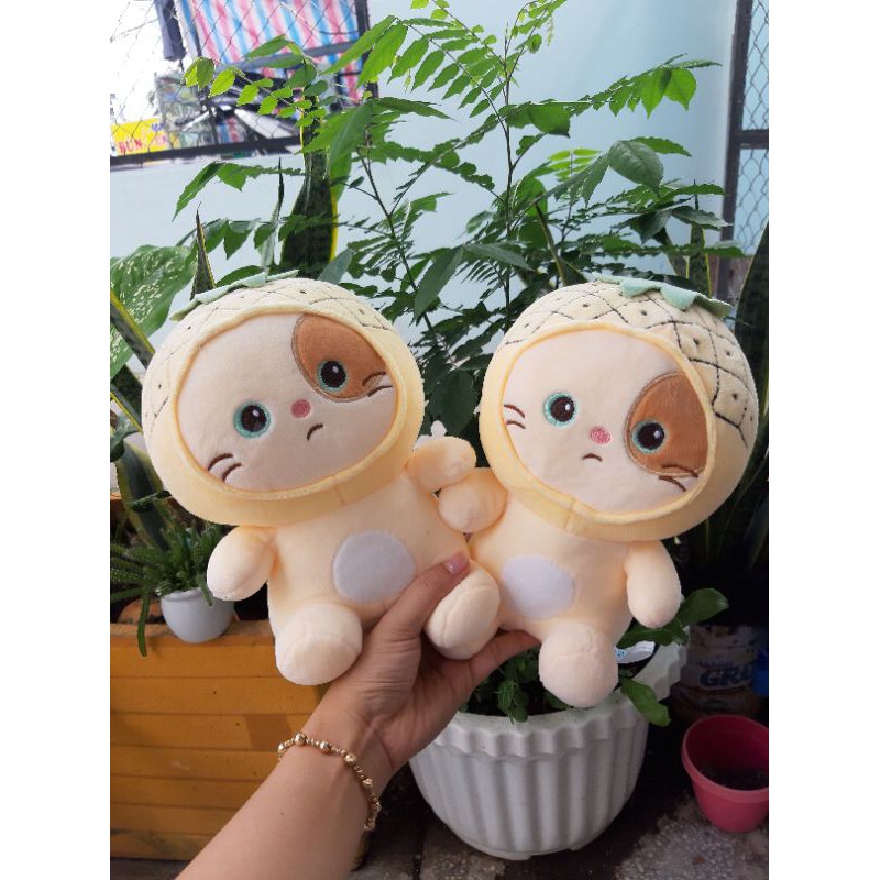 Gấu Bông Mèo Con Cosplay | BigBuy360 - bigbuy360.vn