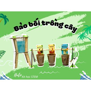 Bộ Kit Trồng Cây, Tặng Kèm Hạt Giống DIY, Tưới Nước Tự Động