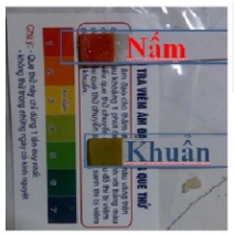 Que thử viêm nhiễm nấm âm đạo Test nhanh ngứa phụ khoa chuẩn xác cho cô bé FSHOPP5