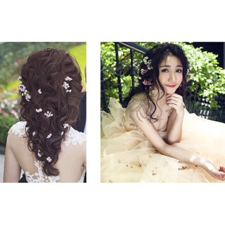 Hoa khô hỗn hợp