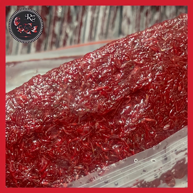 Trùng Huyết Không Nước Bản VIP