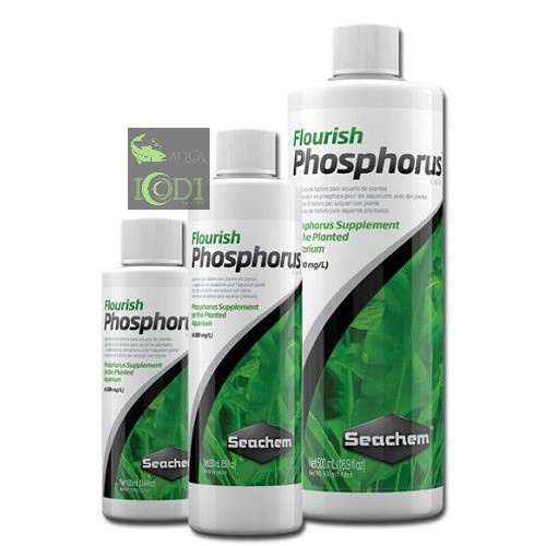 Phân nước Seachem Flourish Phosphorus 100ml 250ml 500ml