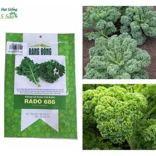 Hạt giống cải xoăn Rado 686 ( Cải KaLe)