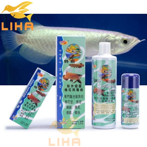 Chai Số 3 Ocean Free Trị Nấm, Rách Vây, Thối Vây, Vết Thương và Diệt Khuẩn Cho Cá Rồng