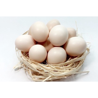 10 quả trứng gà ta