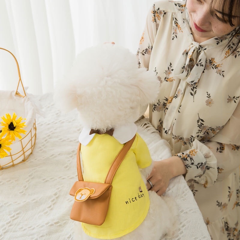 Váy xinh cho thú cưng