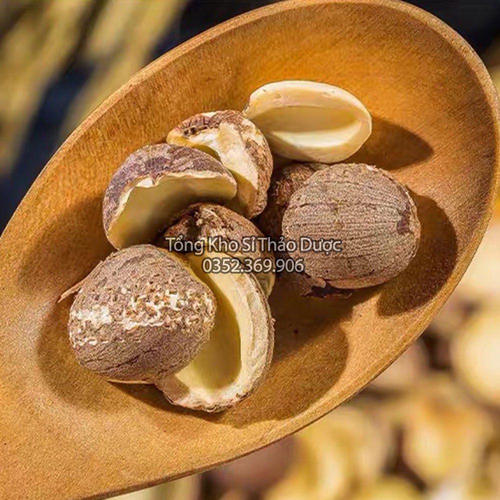Liên Nhục 100g (Hạt Sen Nguyên Vỏ)