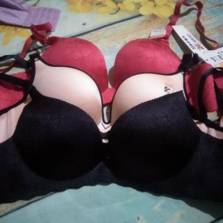 Combo áo chị Thúy