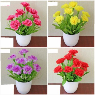 Chậu hoa để bàn xinh xắn