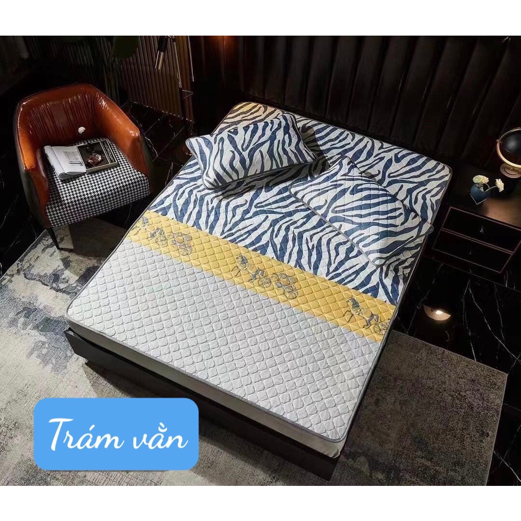 Chiếu điều hòa cao su non ,tặng kèm 2 vỏ gối cùng loại, kích thước 1m6/1m8/2m2