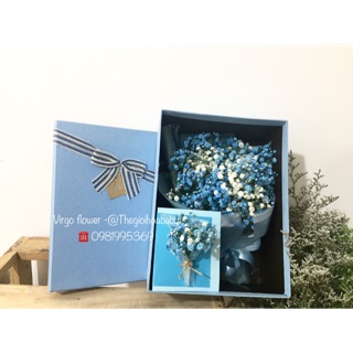 Hộp hoa baby xanh thiên thanh