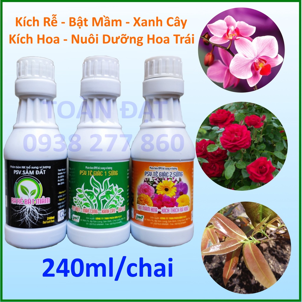 Combo Bộ 3 lọ phân bón đầu trâu  - Bộ 3 Kích Rễ Dưỡng Cây, Tạo Mầm Hoa