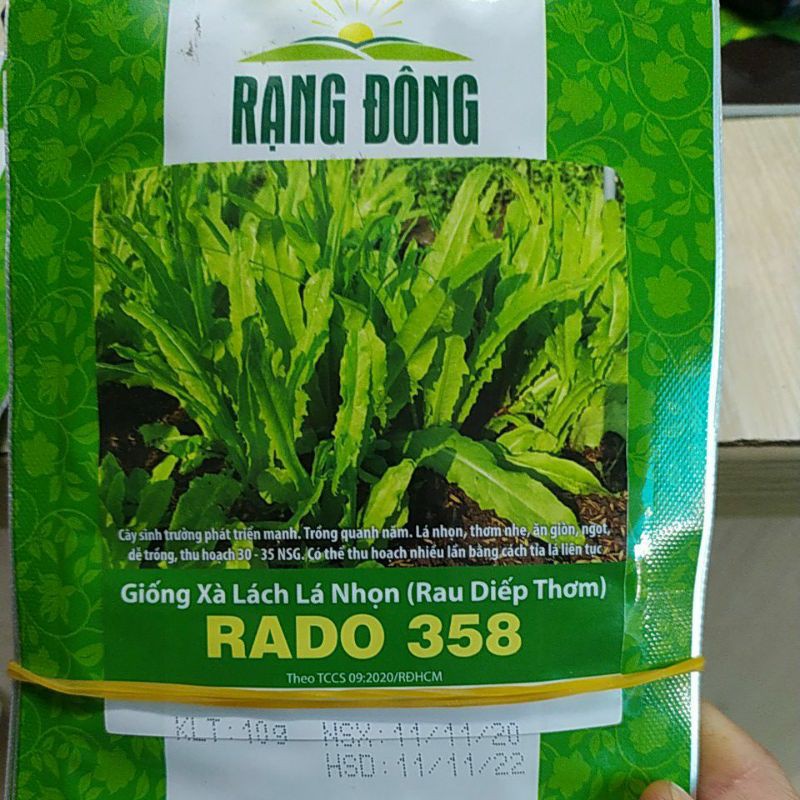 Hạt giống rau RĐ Xà lách lá nhọn rado 358