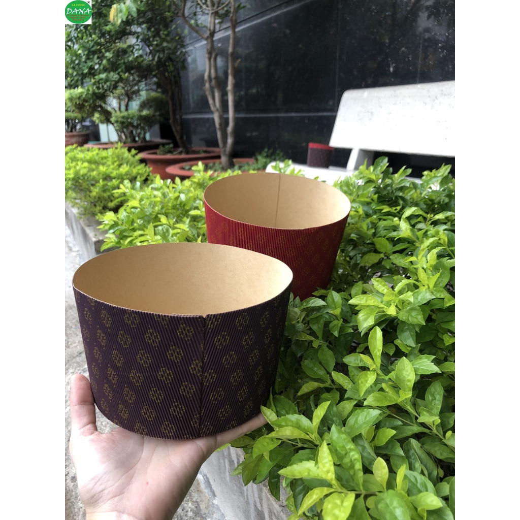 Cup giấy PANETTON set 5 cái