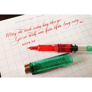 💥Bút mài Nét Việt NV079 ngòi lá tre