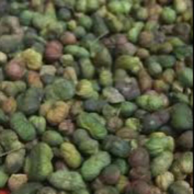 Nụ hoa tam thất (100g)