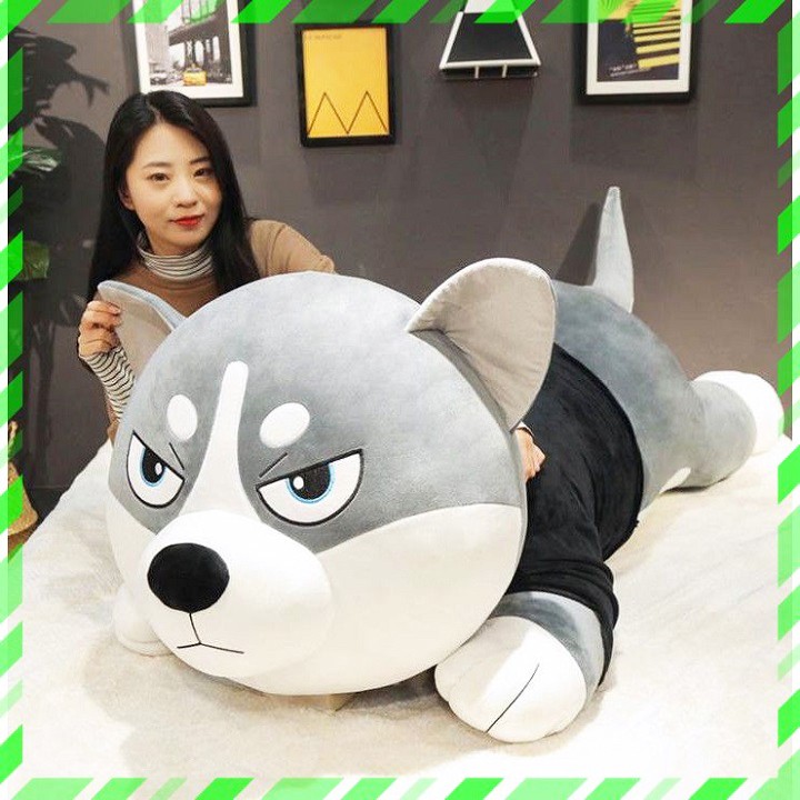 Gấu Bông Chó Husky Siêu To Khổng Lồ 💥 FREESHIP 💥 Gấu Bông Sóc Nhí - Gấu bông chó husky alaska cao cấp