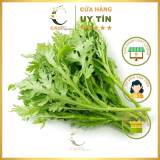 Hạt Giống Tần Ô Rado 123 (Cải cúc)