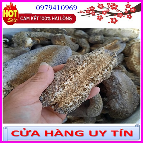 Hải sâm da chăn 1 con y hình. Hải sâm da trăn. Đồn đột da trăn. Ngận da chăn