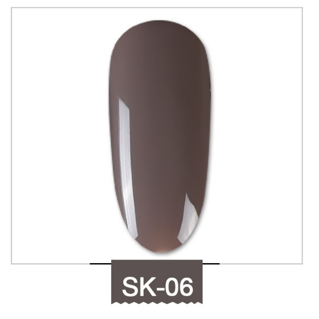 Sơn lẻ gel AS xám khói 6 màu SK