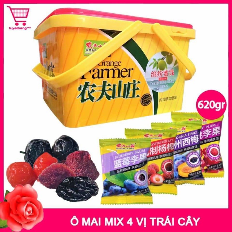 Sỉ 1 thùng 12 hộp 620g ô mai thanh mai và ô mai mix vị