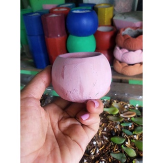 Chậu xi măng tròn bầu mini (xin đọc kỹ mô tả)