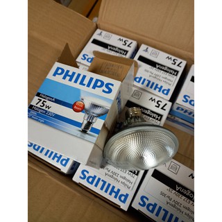 Bóng đèn Halogen par30 75w, Philips