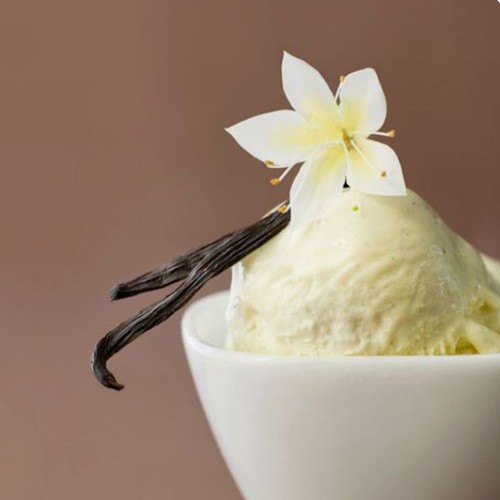 Bột làm kem vani - nguyên liệu làm kem gelato