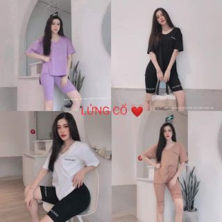 Đồ bộ lửng thể thao cao cấp thun cotton 100% cổ tim