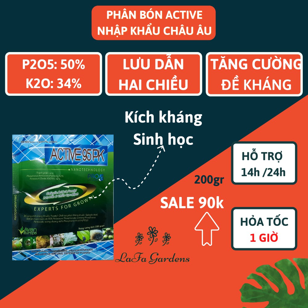 Phân bón sinh học Active 95PK 52-42 - phòng bệnh đốm đen vàng lá ở cây trồng