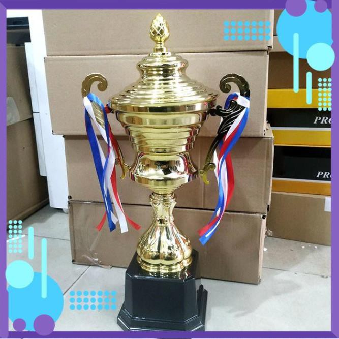 Cúp thể thao M-1072 ✅ Cúp lưu niệm kim loại giá rẻ