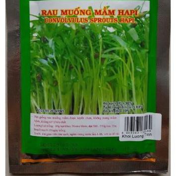 HẠT GIỐNG MẦM RAU MUỐNG - GÓI 40 GRAM