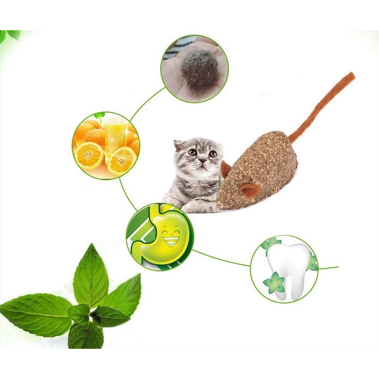 Chuột canip cho mèo có tác dụng kích thích mèo khạc lông ra ngoài làm giảm stress cho mèo