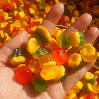 Kẹo dẻo chipchip 500g