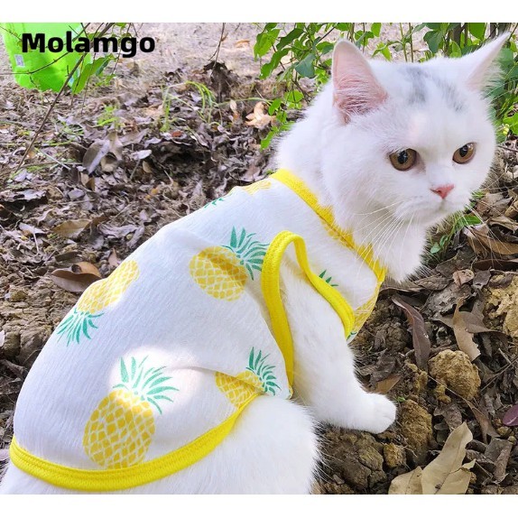 Áo thun cho thú cưng chất liệu nhẹ thoáng khí thời trang mùa hè