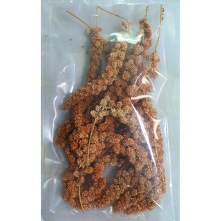 Kê chùm hamster (30gr - 70gr)