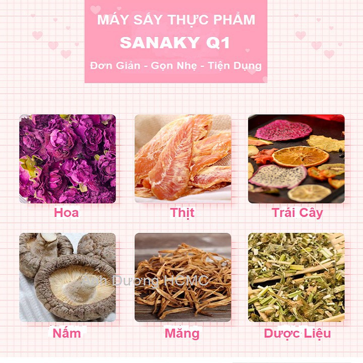 Máy Sấy Thực Phẩm, Hoa Quả Mini SANAKY Q1