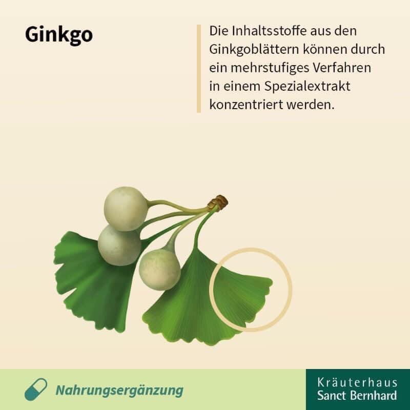 Bổ não Đức Ginkgo Kapseln 75mg, 240 Viên