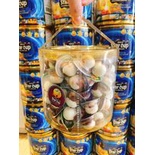 Bánh Quy socola viên Star Cup Thái Lan