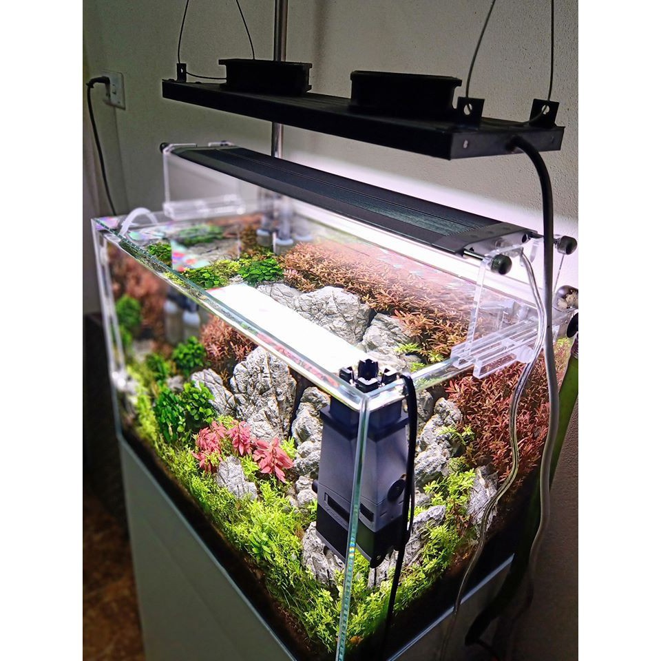 ĐÈN THỦY SINH Week Raptor WRGB - V300/ V450/V600