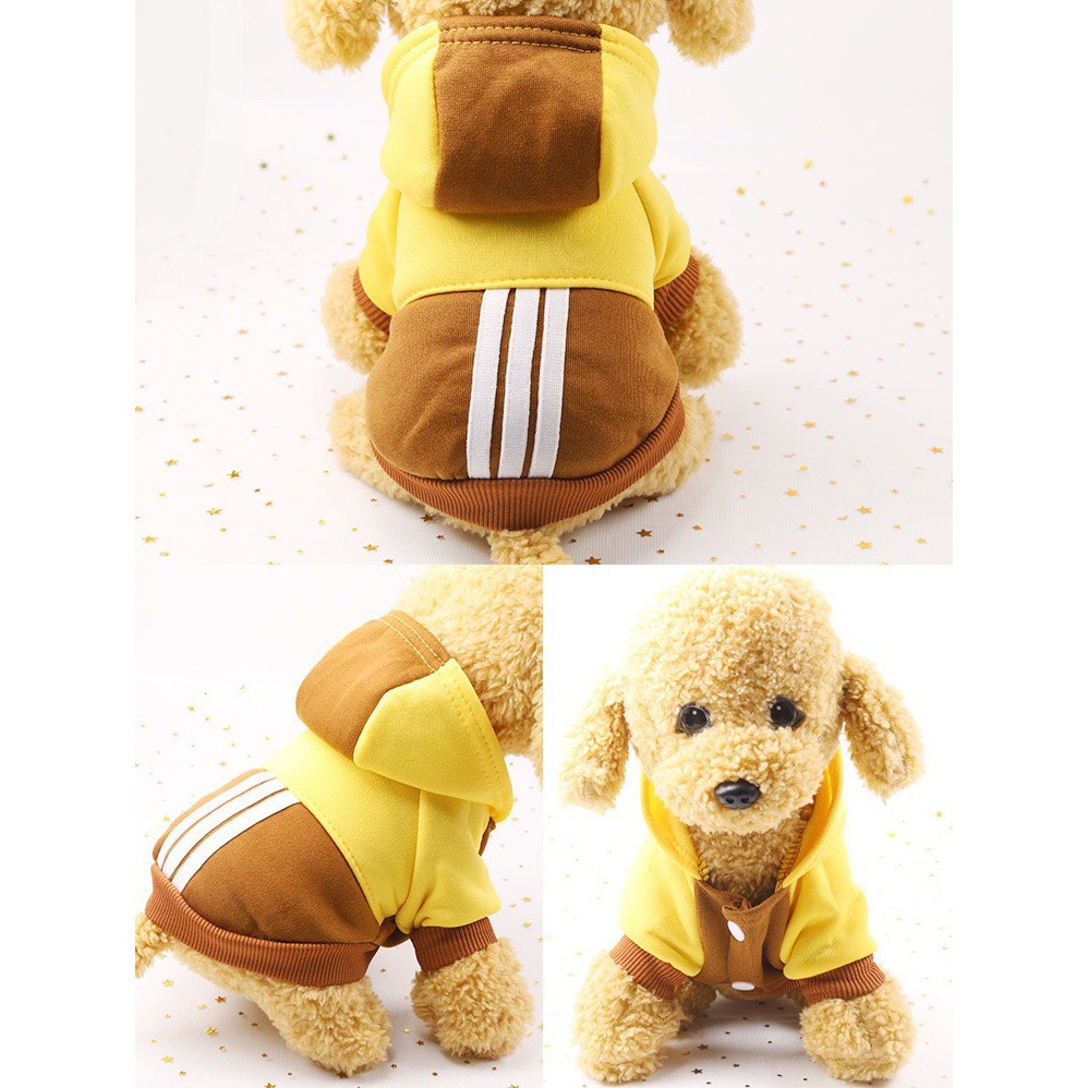 Áo hoodie siêu xinh dành cho boss