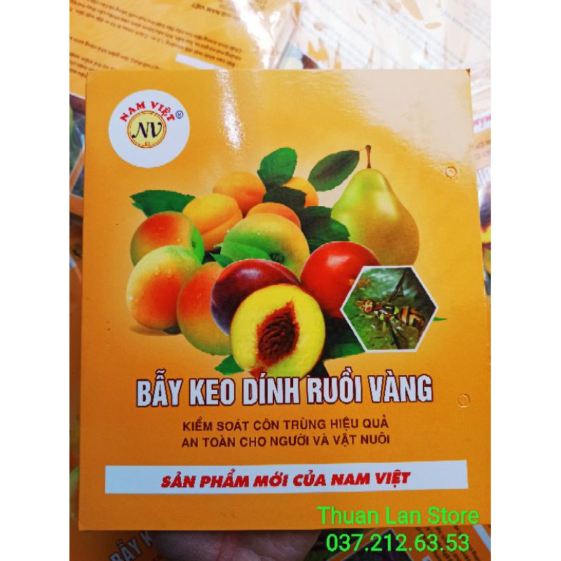 Miếng Dán Bẫy Ruồi Vàng, Côn Trùng Gây Hại Lan, Cây Cảnh